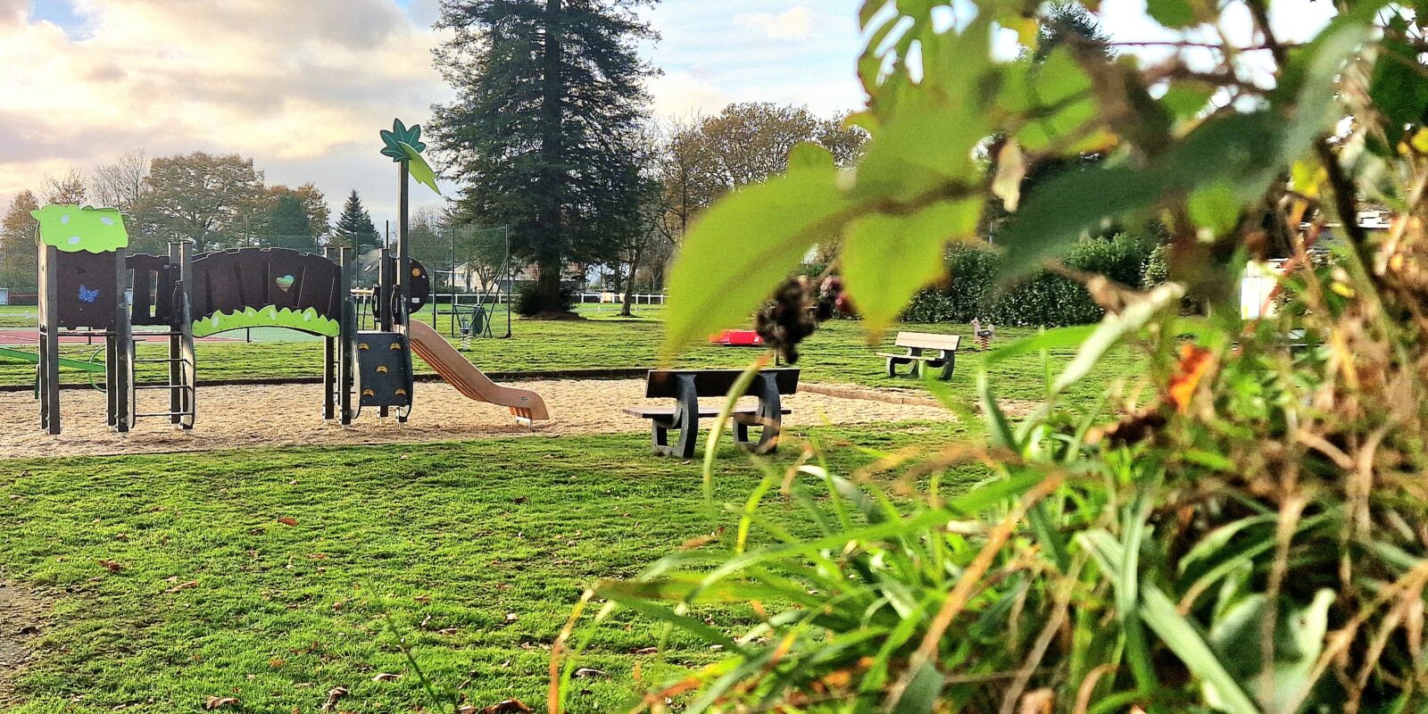 Petitt Pois Structure Plastique Recycle Remungol(58)