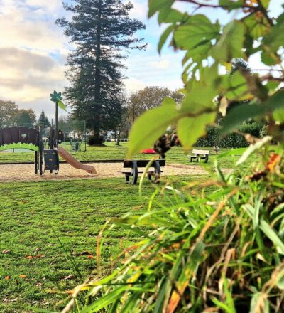 Petitt Pois Structure Plastique Recycle Remungol(58)