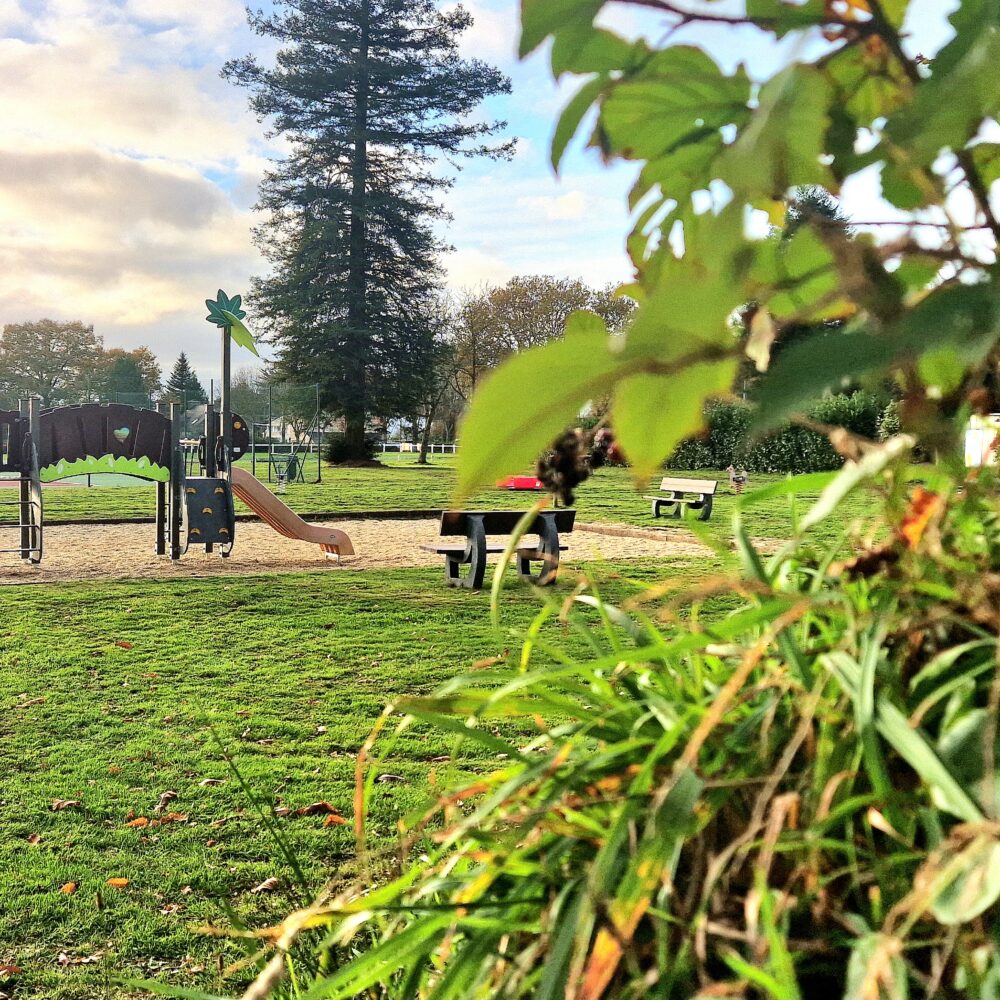 Petitt Pois Structure Plastique Recycle Remungol(58)