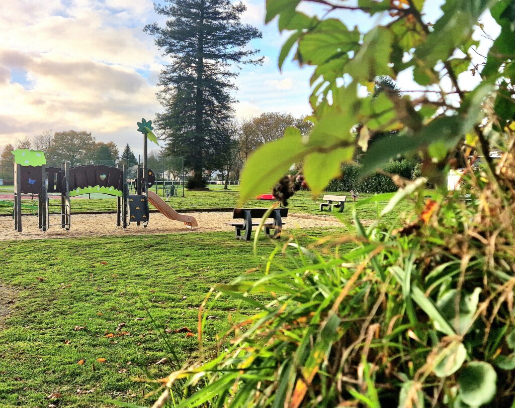 Petitt Pois Structure Plastique Recycle Remungol(58)