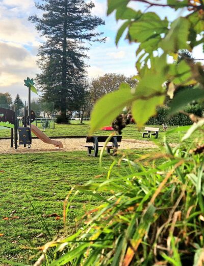 Petitt Pois Structure Plastique Recycle Remungol(58)