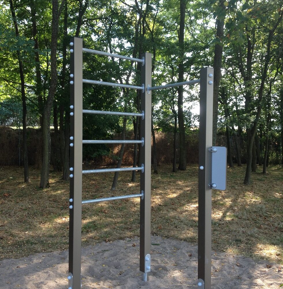 Pr3 Espalier Barres Traction Parcours Sante Traction Pronation Supination Echelle Australienne Musculation Etirement Relaxation Dijon 21 (2)