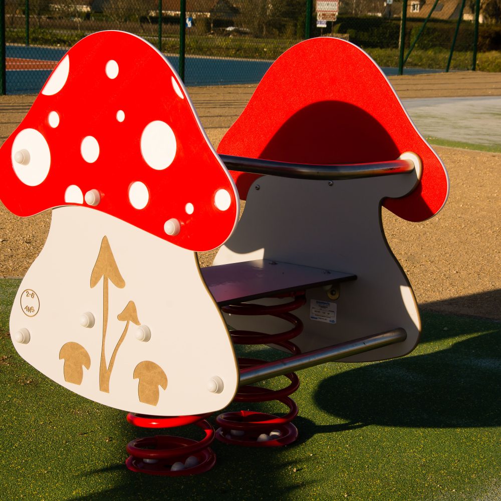 Rcp Champignon Folainville 78