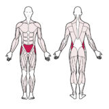 Twister R08a R08b R08c