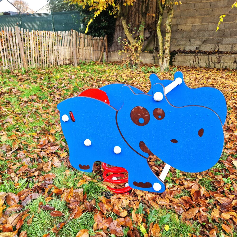 Jeudynamique Rhi Hippo