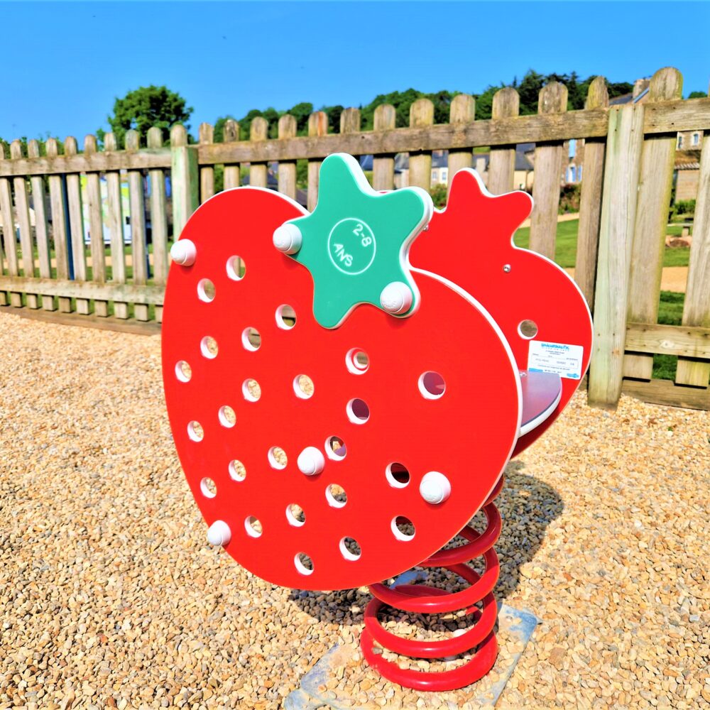 Jeu dynamique Rtg Tagada fraise ressort aire plein aire enfants