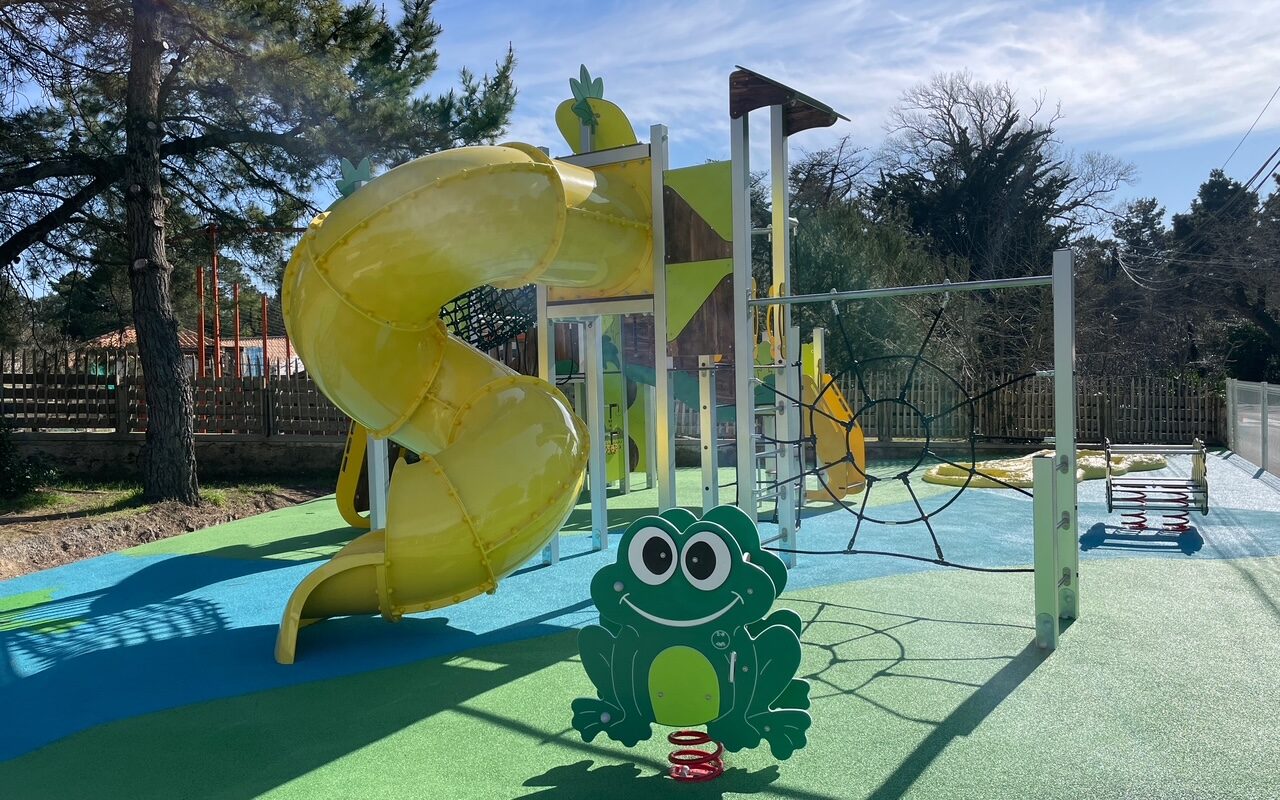 Rgn 1 Pmr Gwenouille Ressort Balancement Oscillant Stjeandemonts 85 Pehd Natura Photo (2)