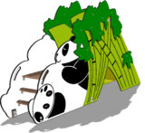 Tba-jeux-glissade-toboggan-Bamba-visuel3D-Verso