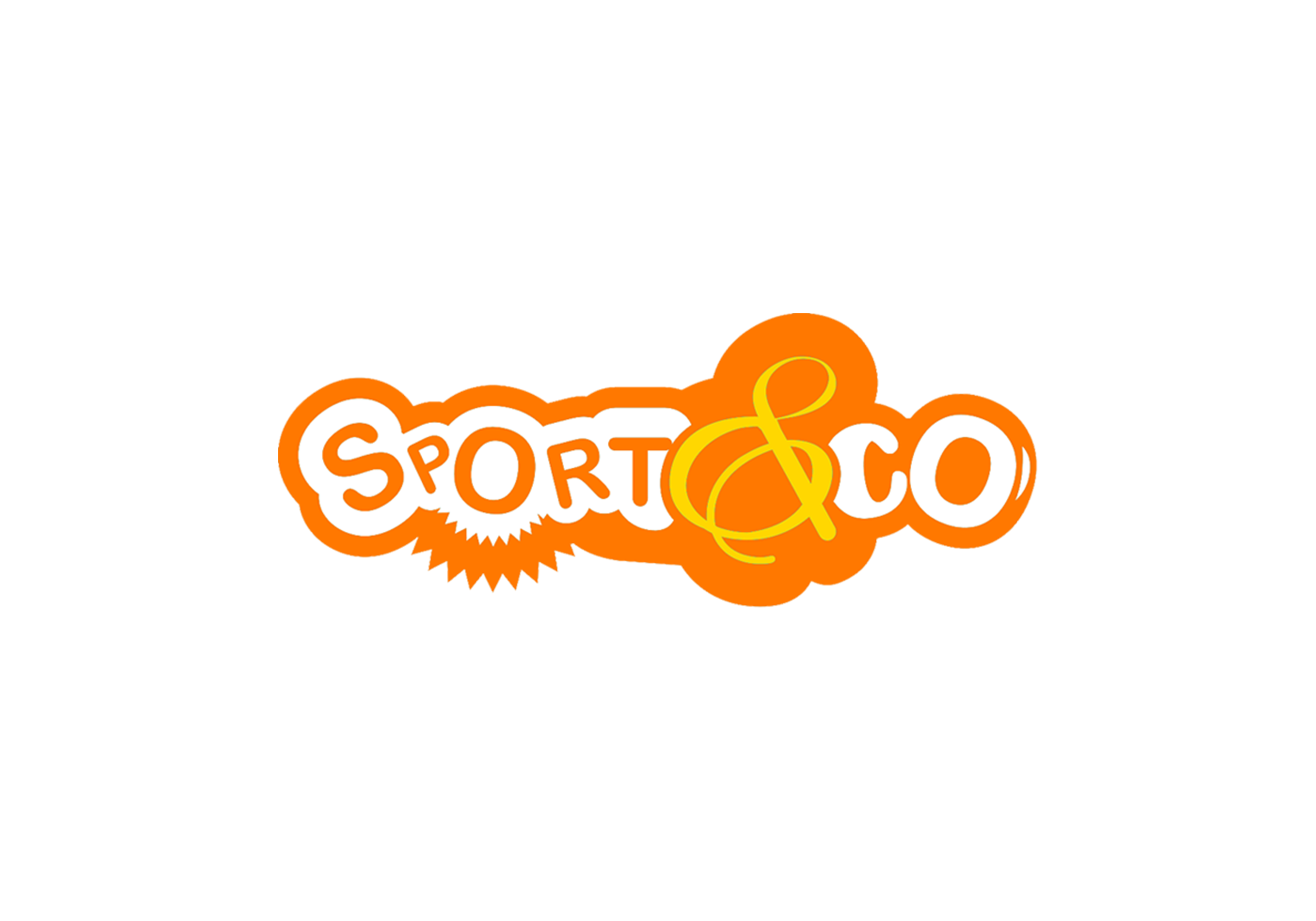 visuel sport and co site internet2